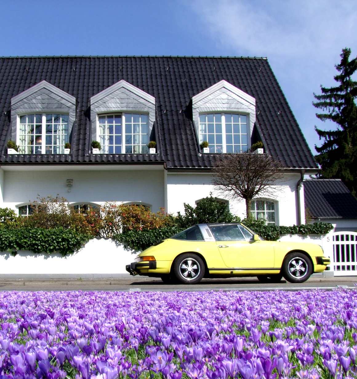 gallery06